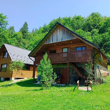 Під Горою Vila Sheshory Exterior foto