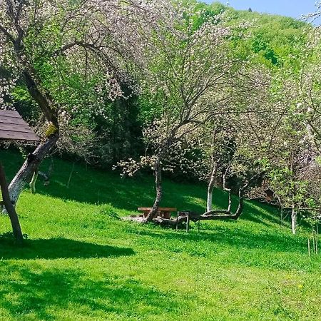 Під Горою Vila Sheshory Exterior foto
